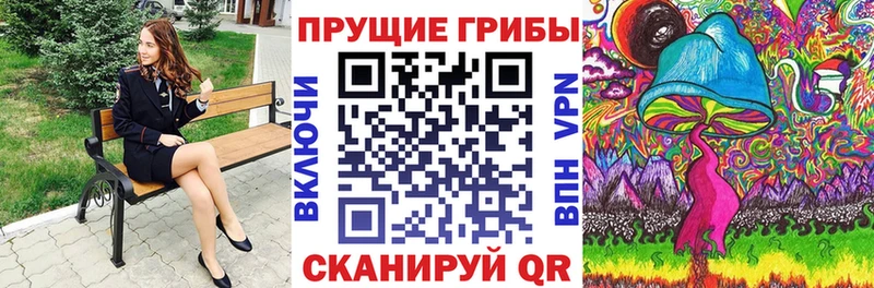 omg рабочий сайт  Тбилисская  Галлюциногенные грибы Magic Shrooms  наркота 